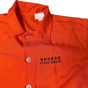 Halloween costume State inmate prisoner costume